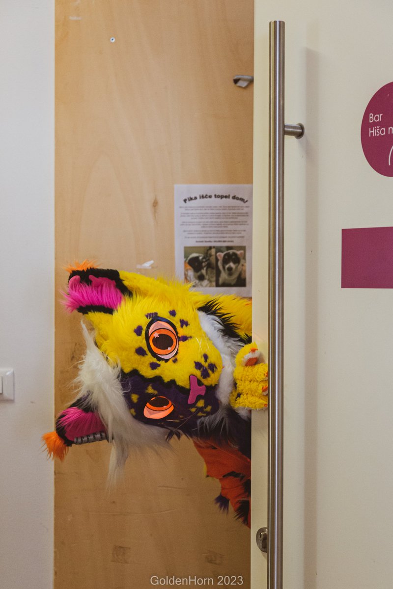 🇸🇮Woxy🇪🇺@CFZ, @Awoostria tweet media