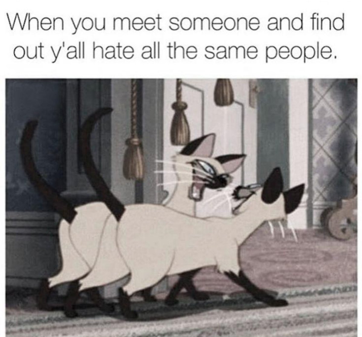 NO CONTEXT HUMANS tweet media