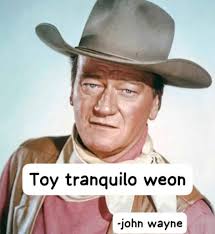 🇨🇱MeLiterally1973🇨🇱 tweet media