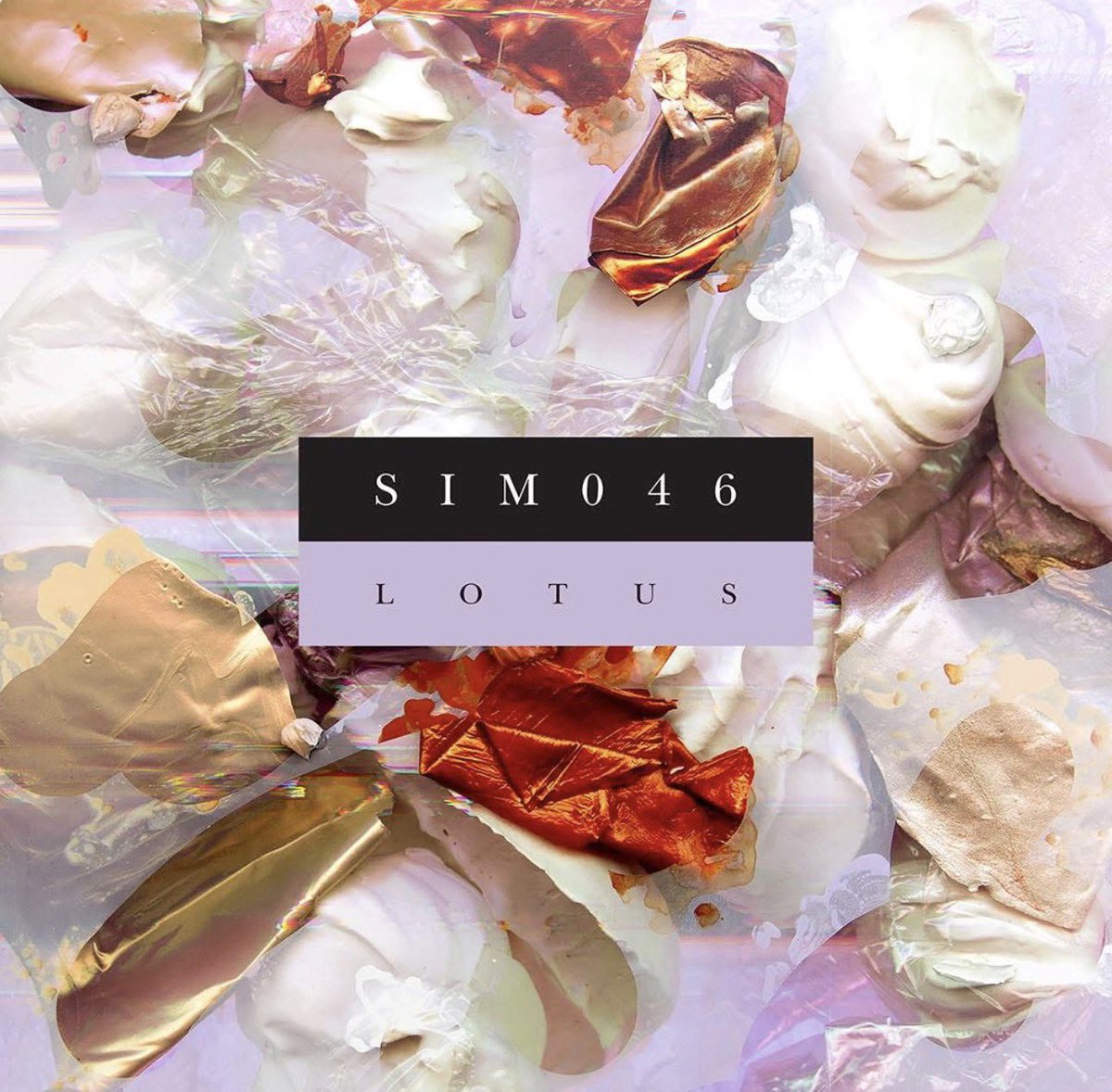 SOUL IN MOTION tweet media