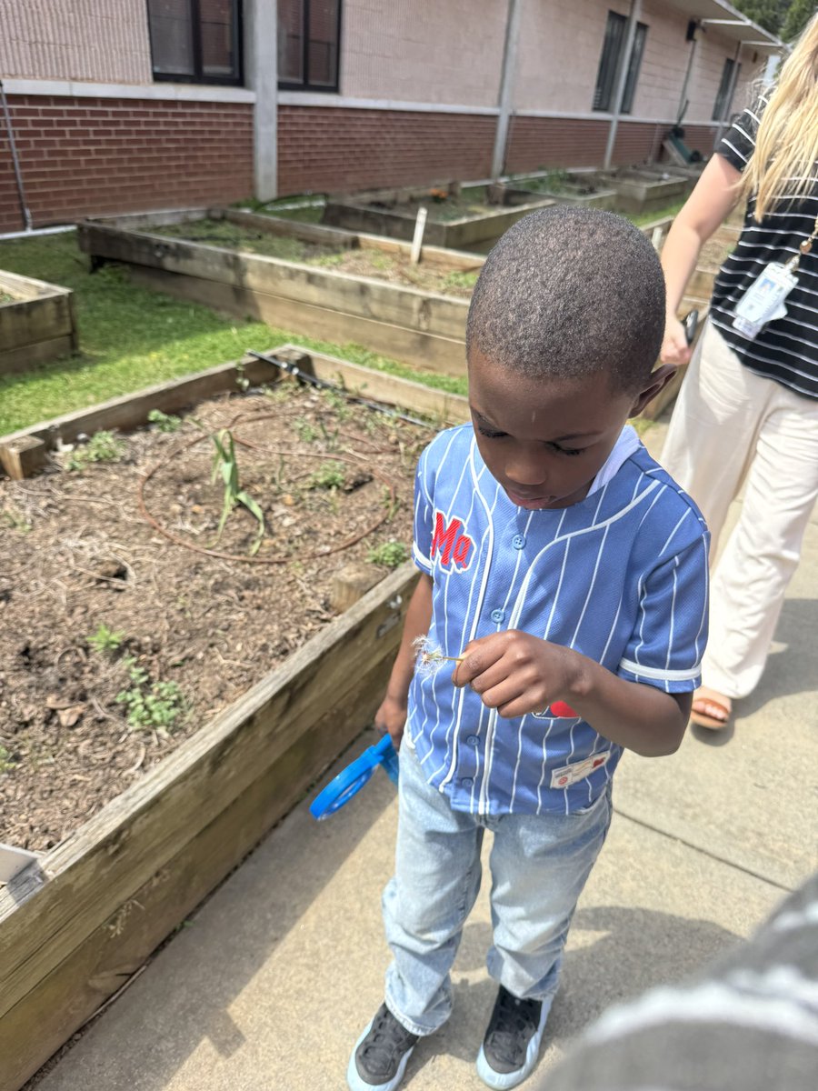 Melissa Goolsby tweet media