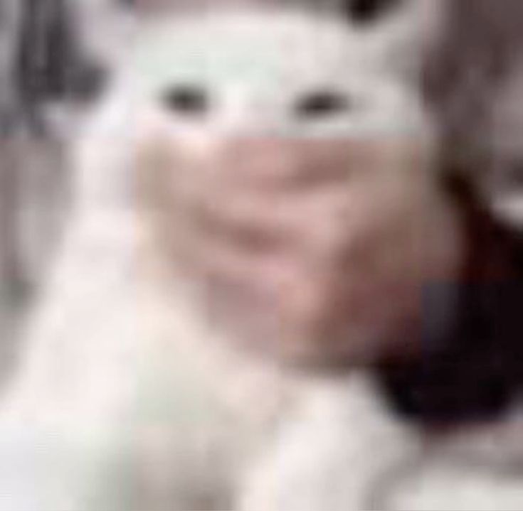 أُسَامَةٌ tweet media