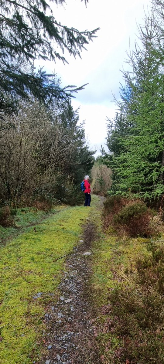 Samantha Jayne Jones tweet media