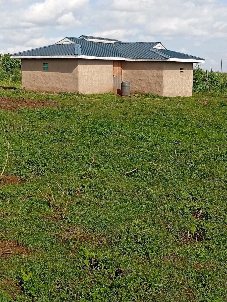 Ignatius tweet media