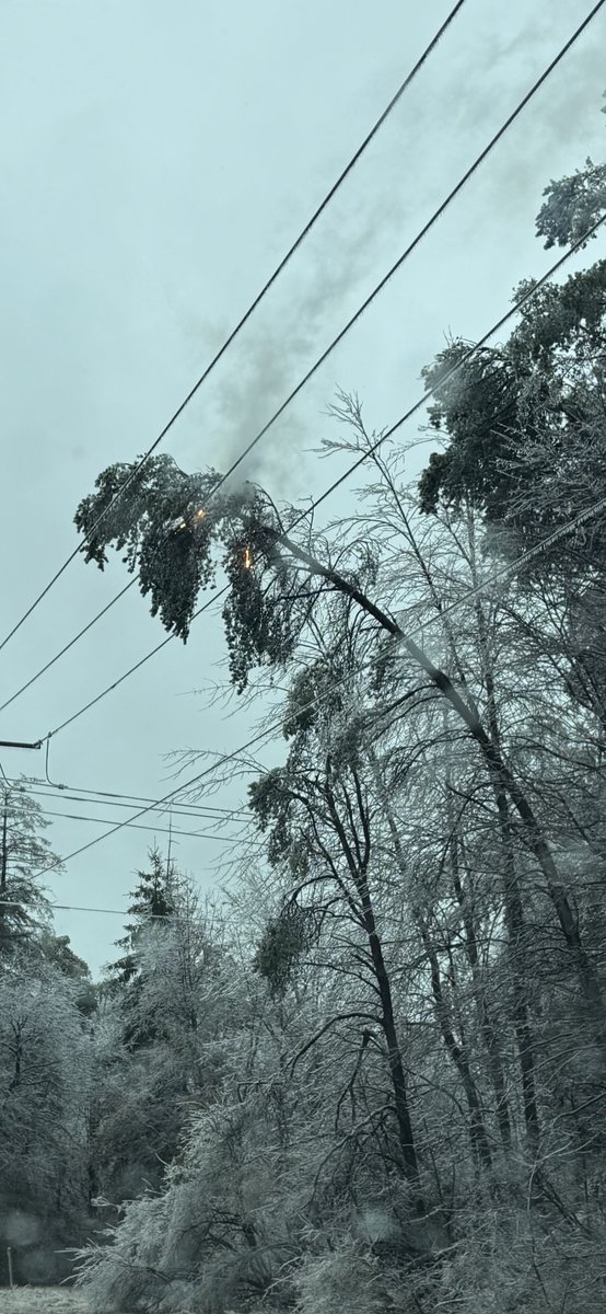 OfficialYallbot's tweet image. Great shot from Micah in Stevens Point, WI! Freezing rain has weighed down trees so much that this one snapped onto power lines and caught fire. A stark reminder of the dangers of ice storms. Stay safe and give downed lines plenty of distance! #WIwx #IceStorm