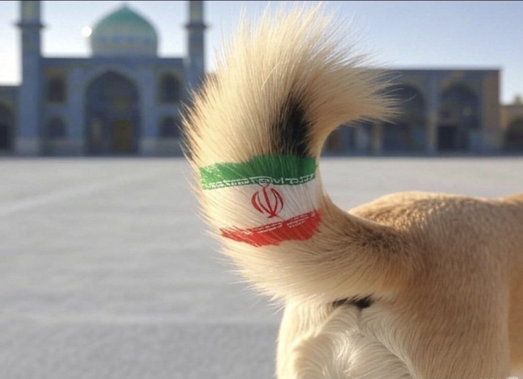 الأحوازية طيف التميمي tweet media