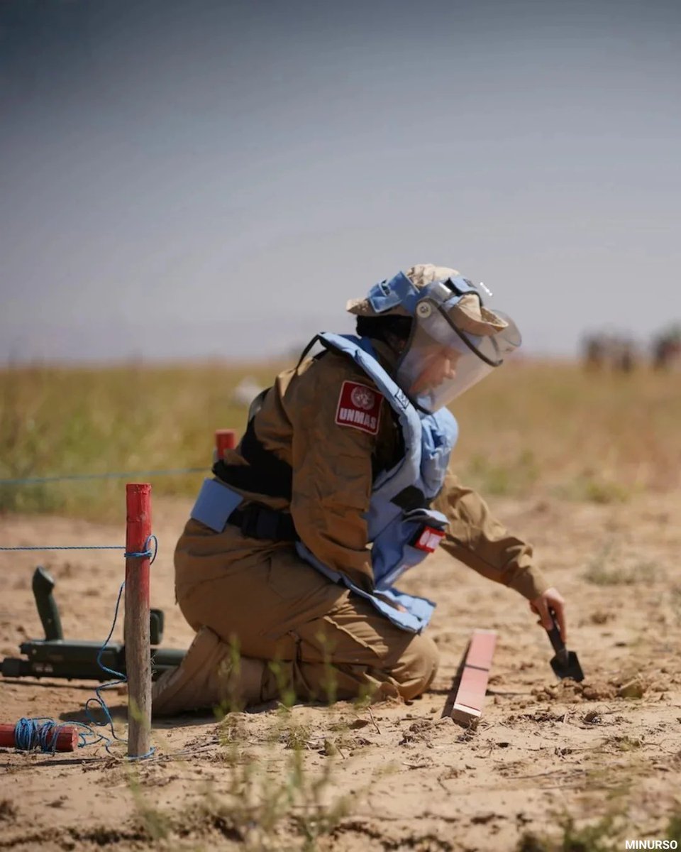 United Nations tweet media