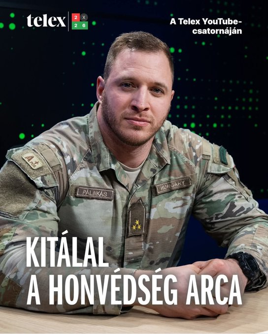 Pingipang tweet media