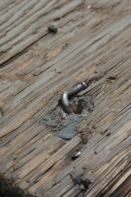 Rosetta Morgan tweet media