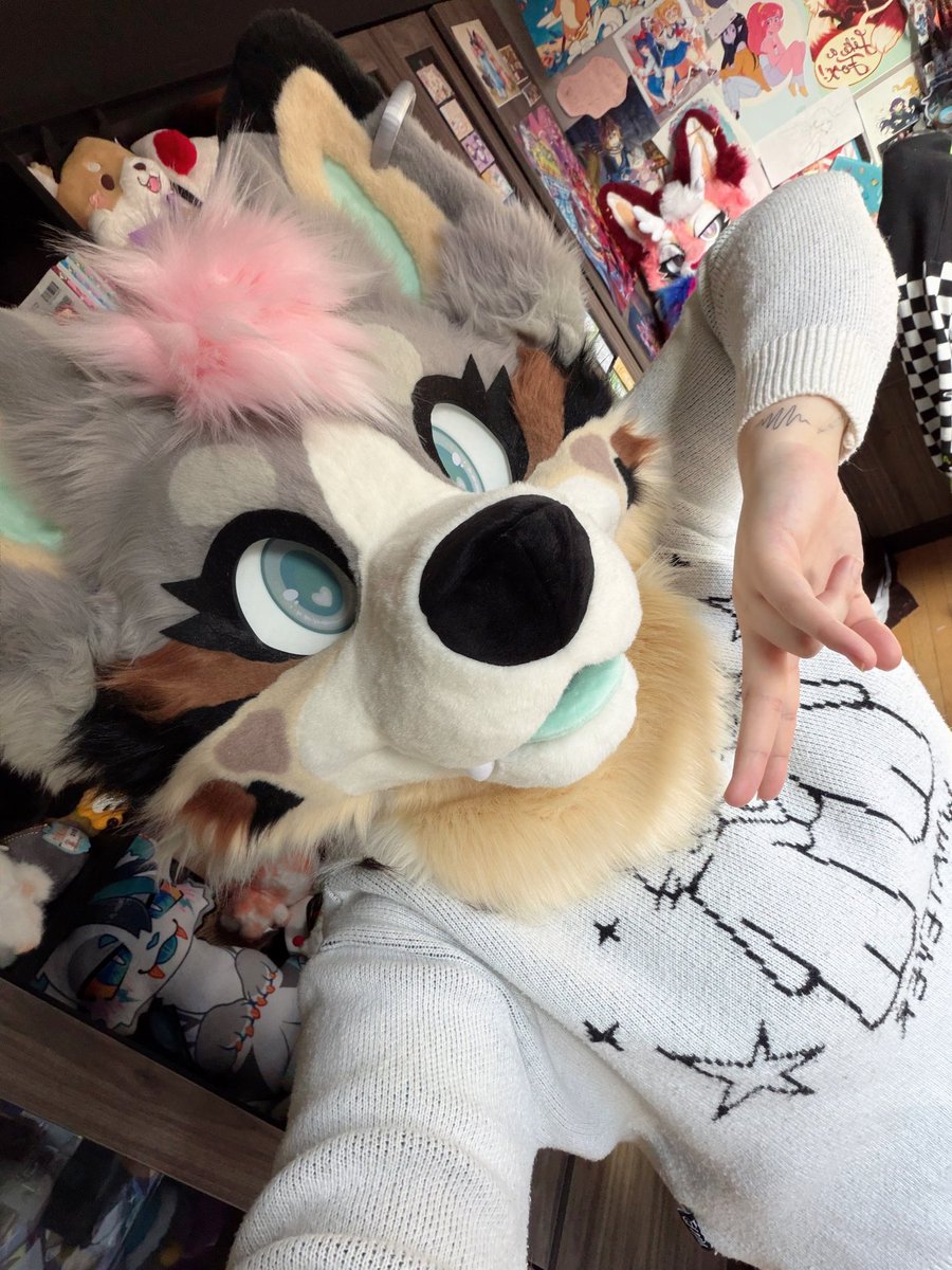 🩵 Jupiter 🔜 FURLANDIA tweet media