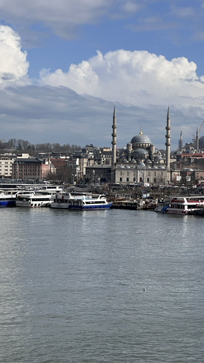 سليمان الضلعان التميمي⚖️ tweet media