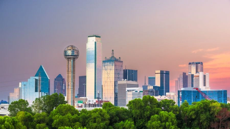 Dallas Based tweet media