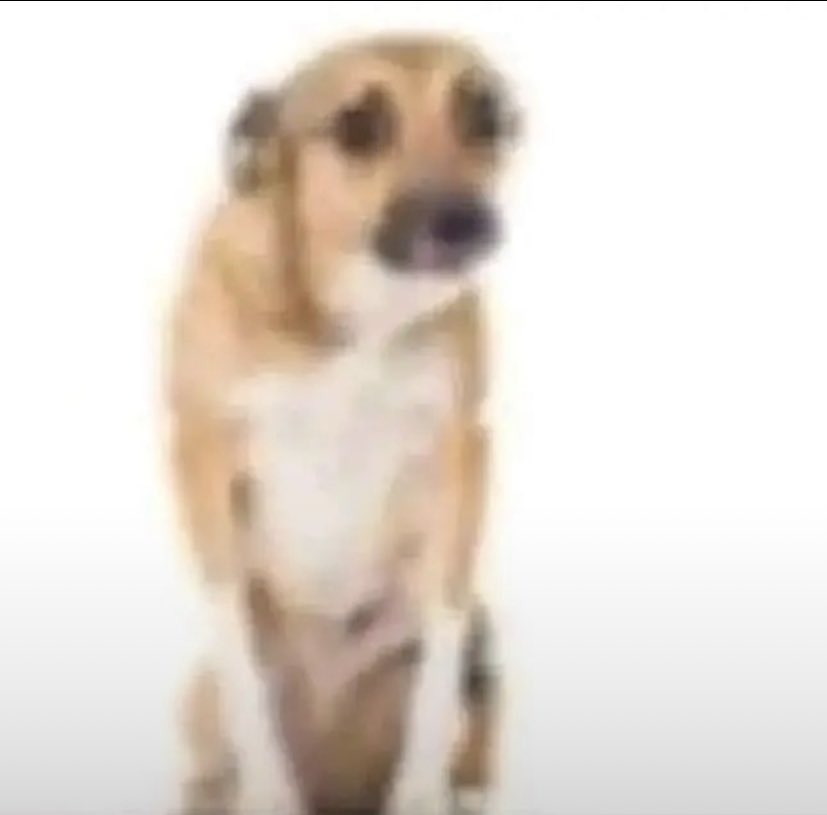 لەندی tweet media