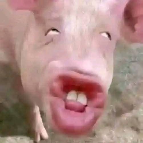 Jaka Kembung tweet media