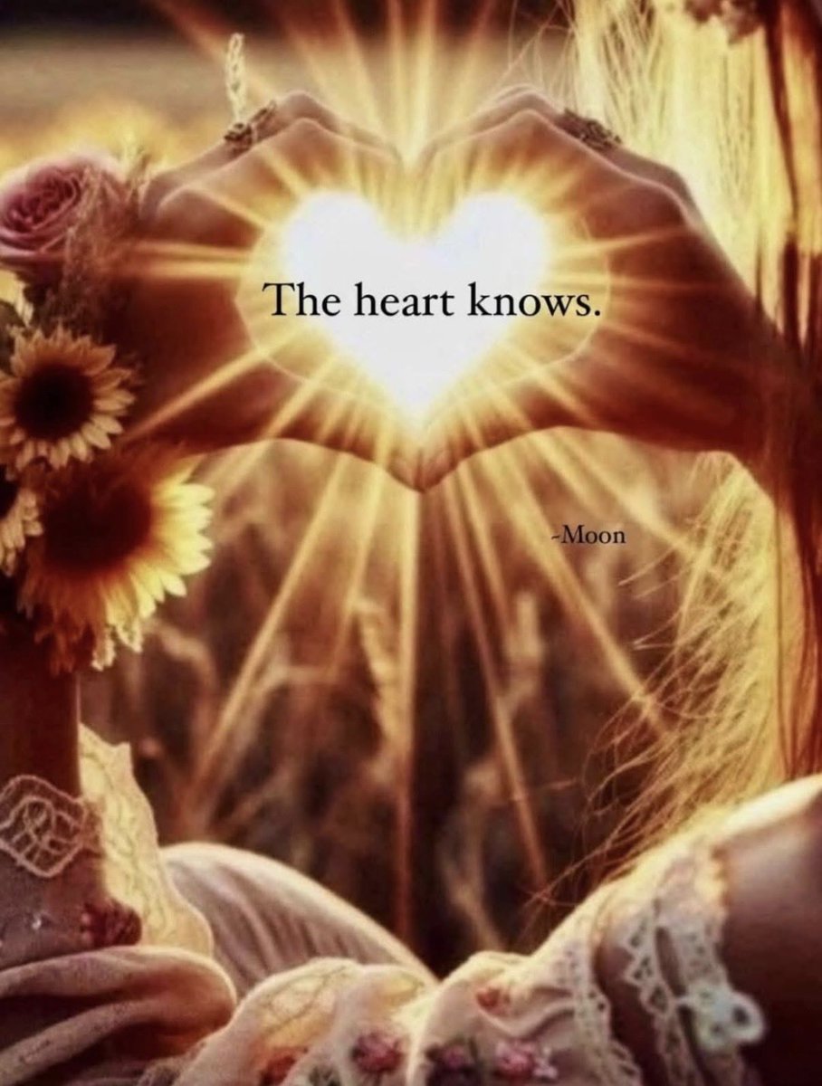 Maria Ski tweet media