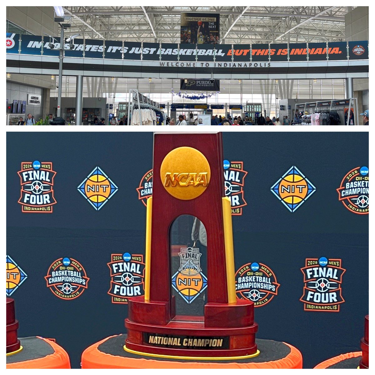 Collin Harmon tweet media