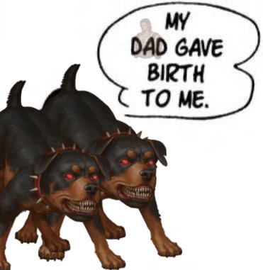 acervo crisguiar 🐺🤠 tweet media