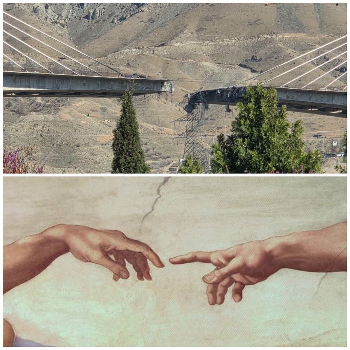 محمد فیاضی tweet media