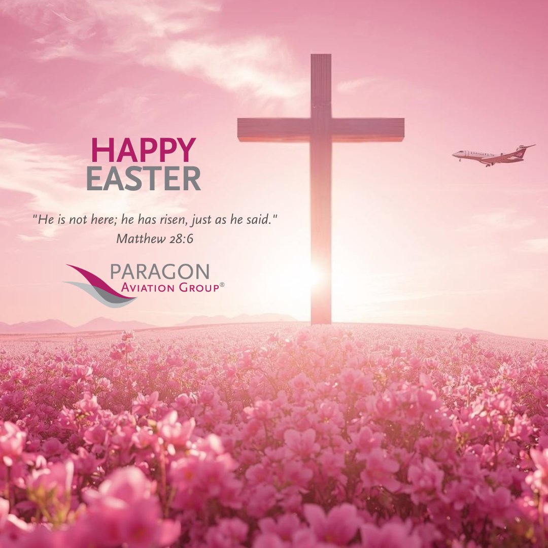 Paragon Aviation Group tweet media