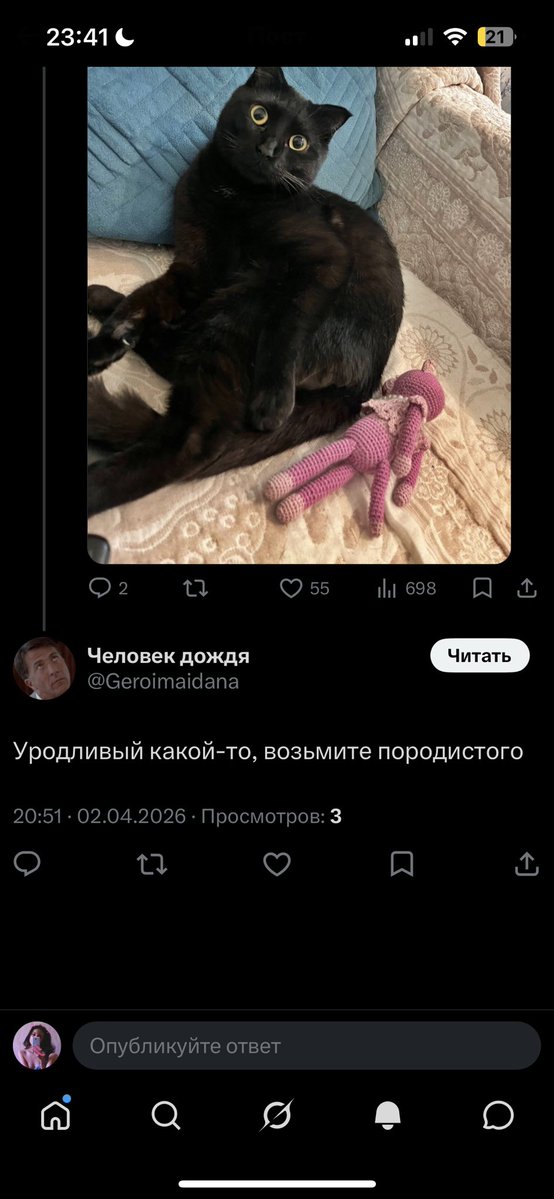 картошчка tweet media