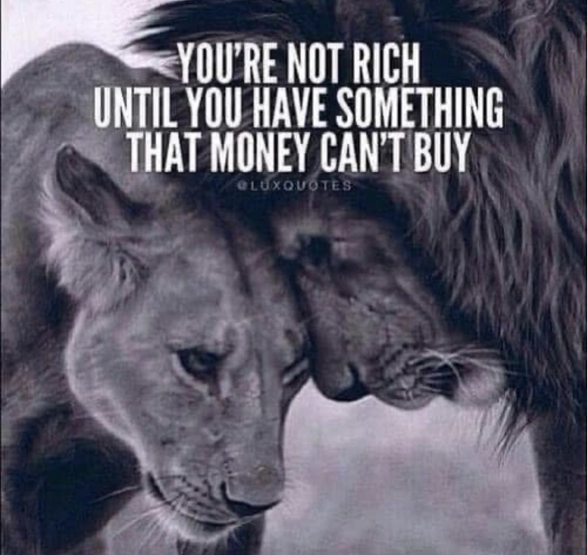 Maria Ski tweet media