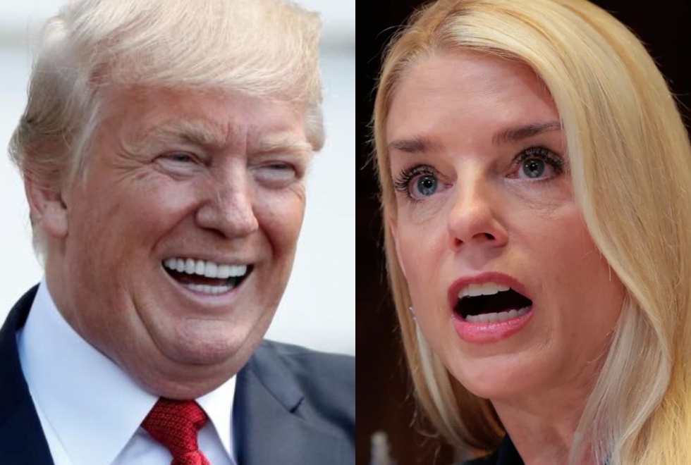 Occupy Democrats tweet media