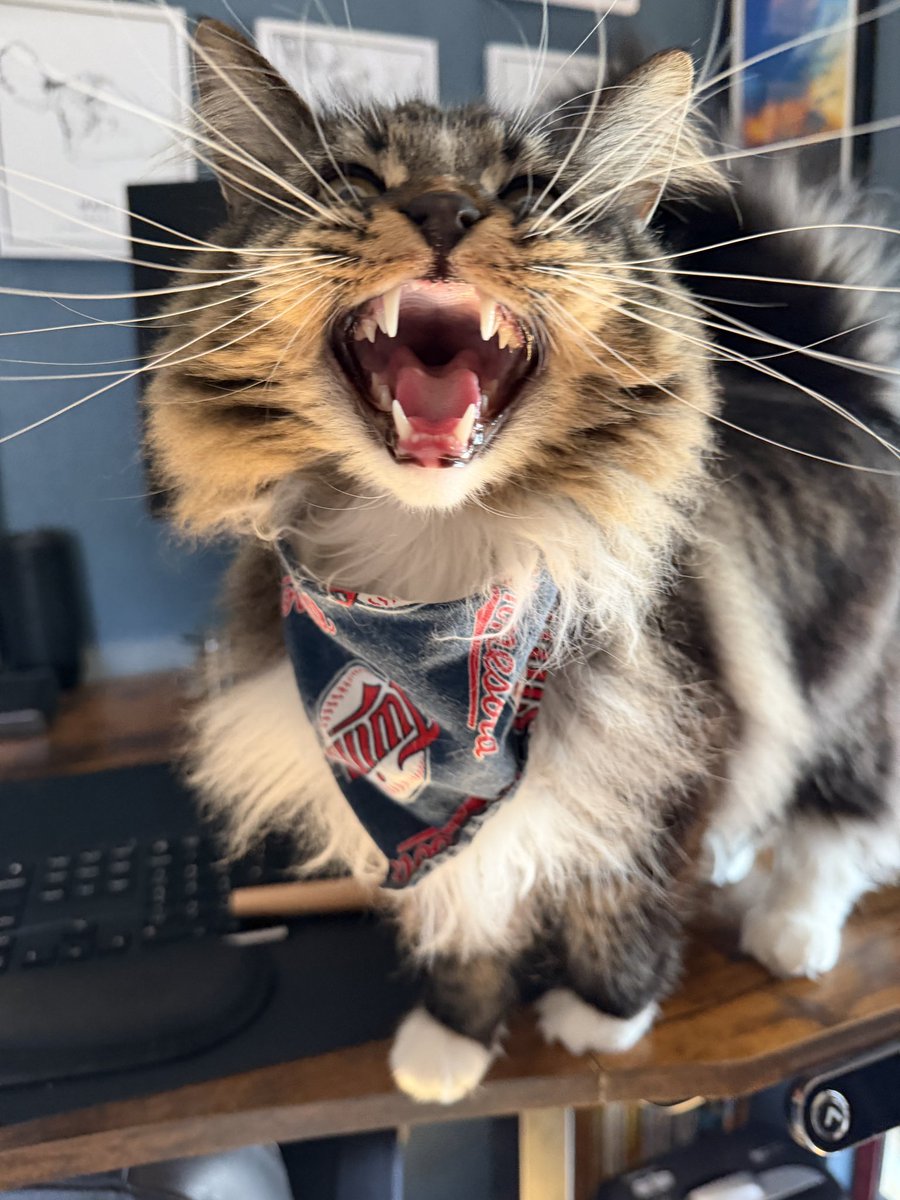 Freddie & Smokey tweet media