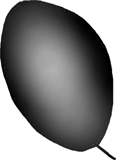 イヤホンᖰ ᖳ tweet media