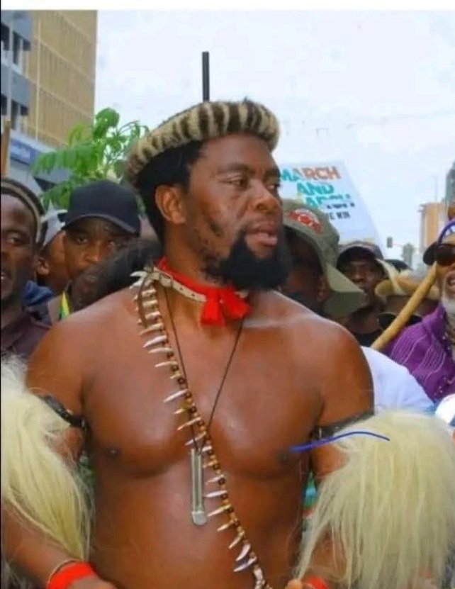 🇮🇹 tweet media