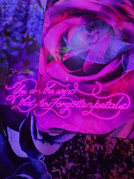 任性🍑 tweet media