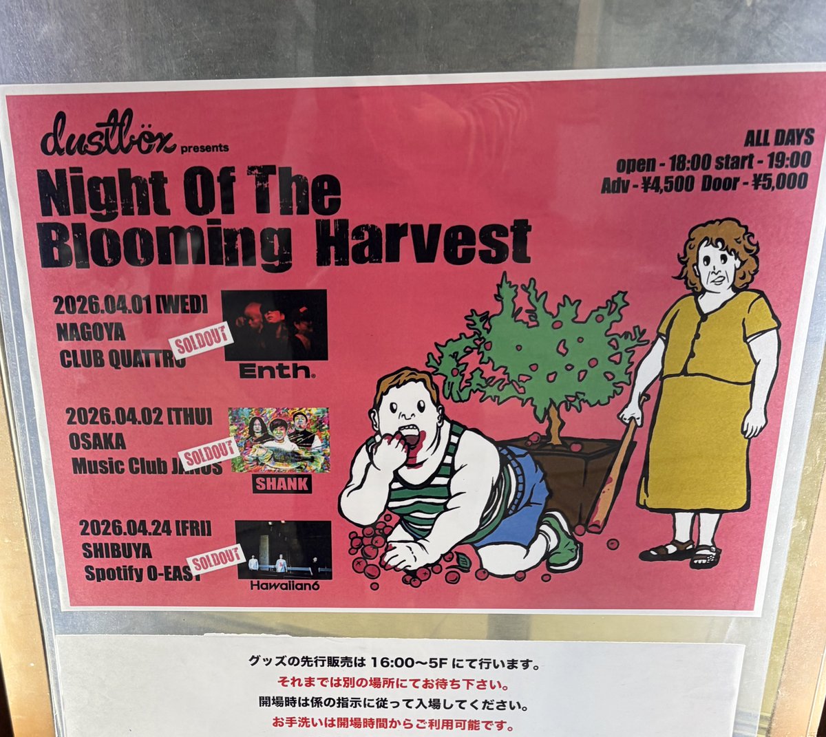 わんわんいぬ tweet media