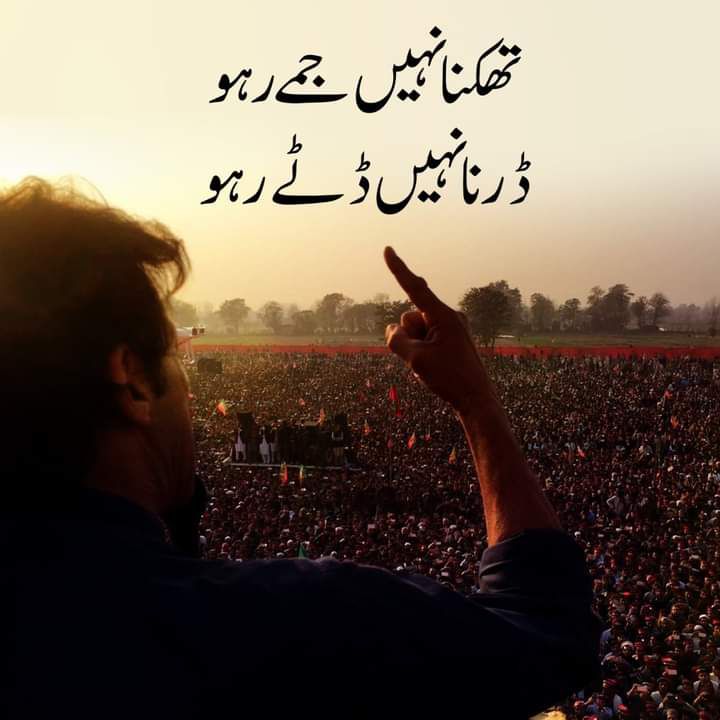 Mutee ur Rehman tweet media