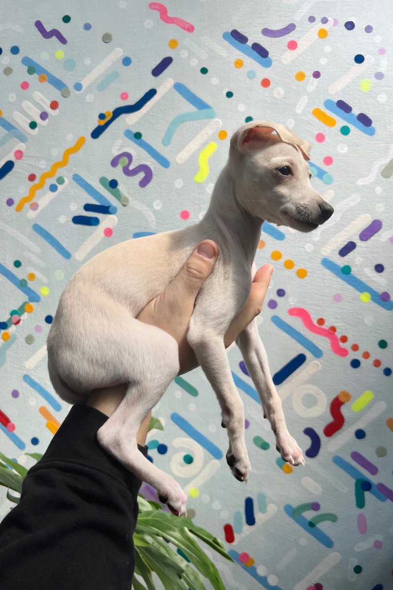 Efdot ➰ tweet media