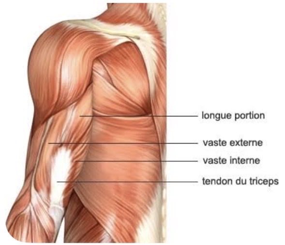 Fanbase Jimin Latino tweet media