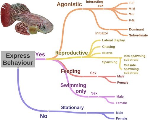 Killifish Foundation - Research and Conservation tweet media