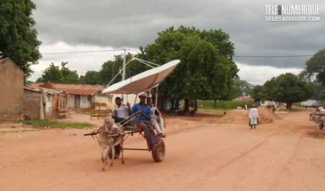 Télé Numérique tweet media
