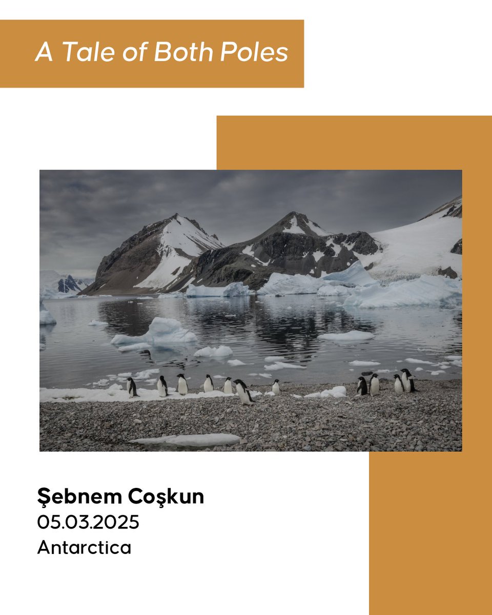 AA Kitap tweet media