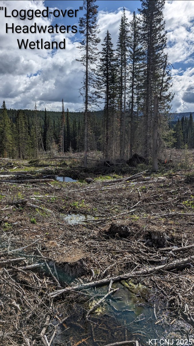 Kevin Turner tweet media