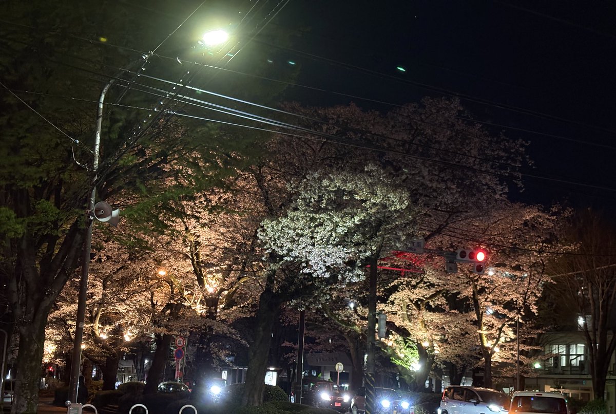 ｵﾋｹﾞﾉﾋﾄ🥸 tweet media