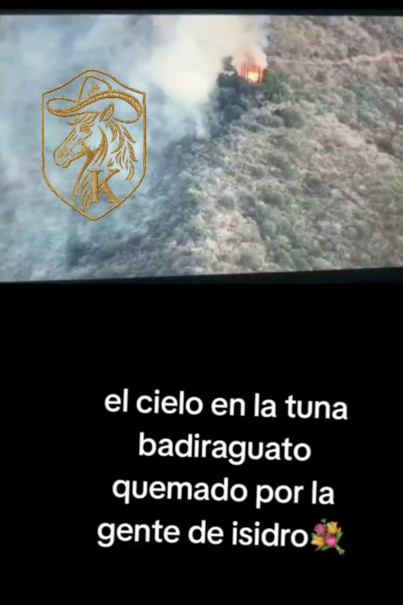 Sin Temor 1 tweet media