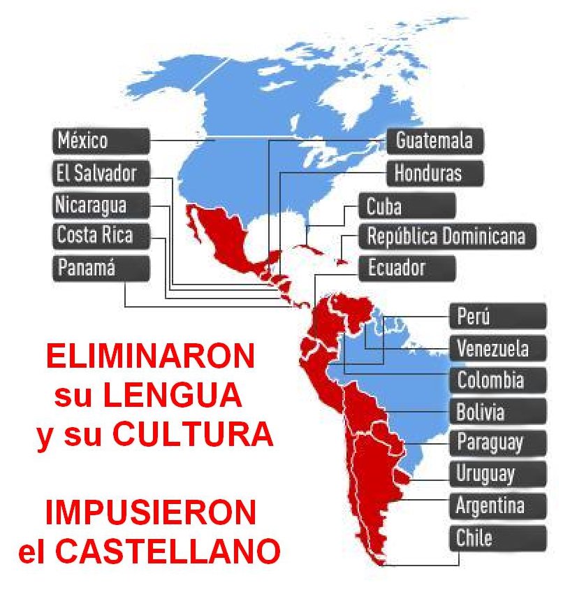 vadortitus tweet media