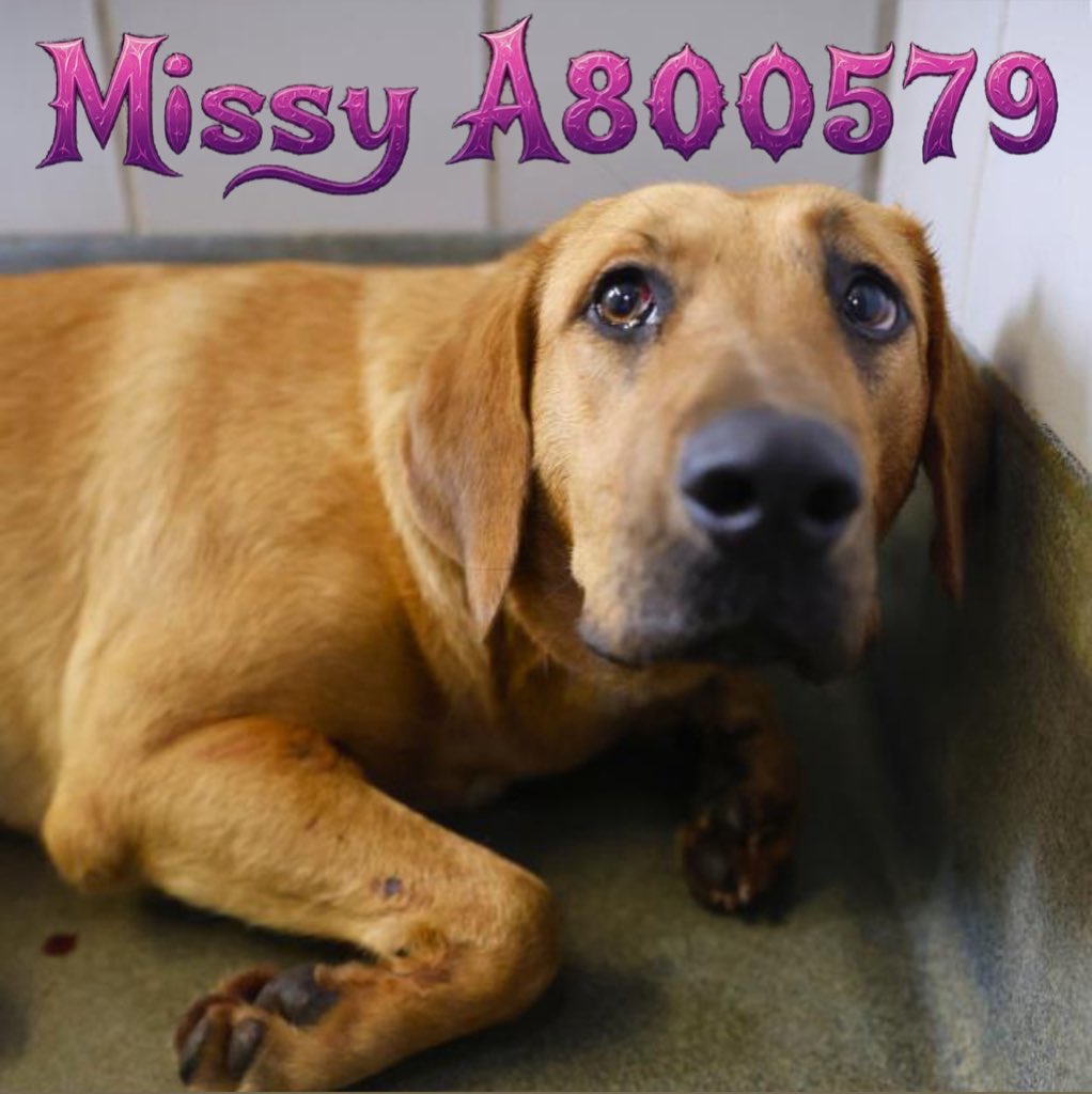 Aurora ⸆⸉ misses Liam ❯❯❯❯ tweet media