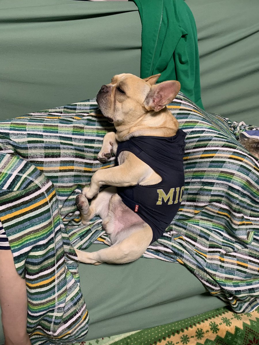 まんぼー tweet media