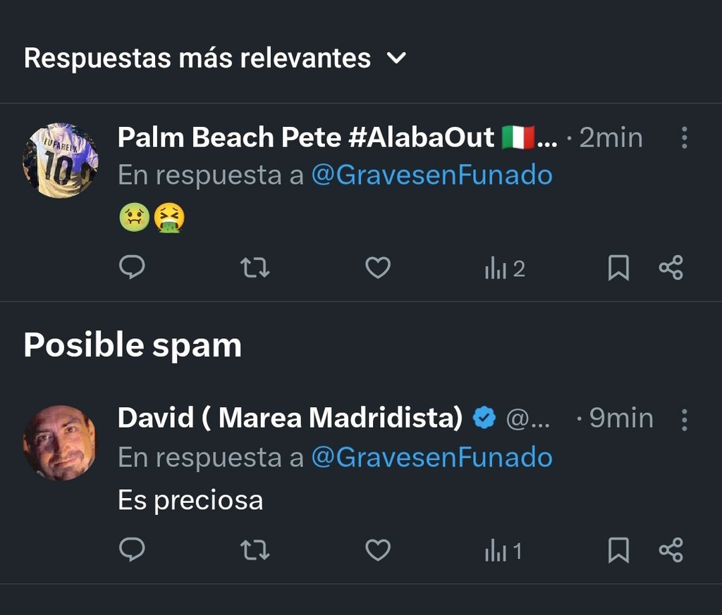 Gravesen tweet media