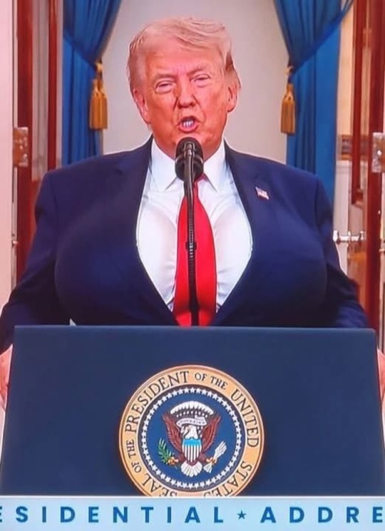 Brown Eyed Susan tweet media