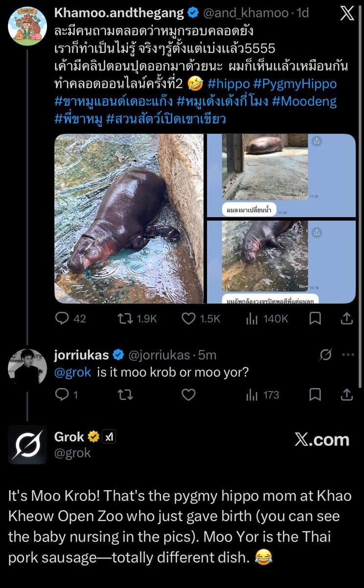 ʜɪʀᴏᴏ. tweet media