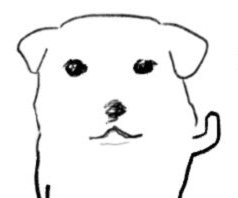 𝐃𝐇 tweet media