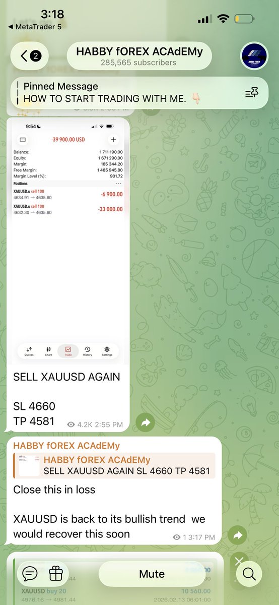 AriDonXAU tweet media