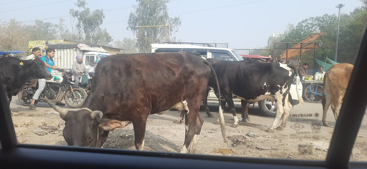 Left of Right tweet media