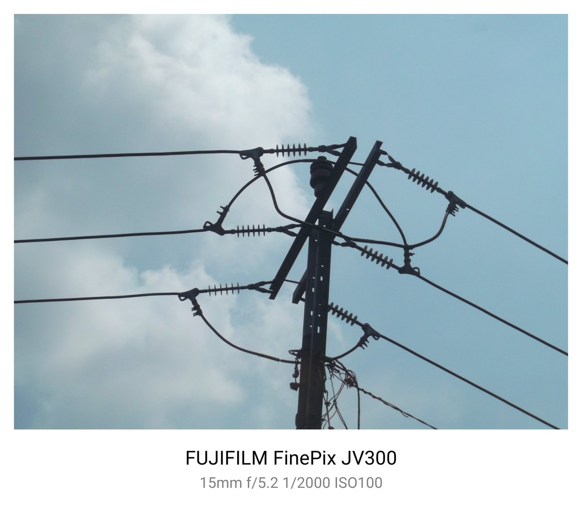 syialaan tweet media